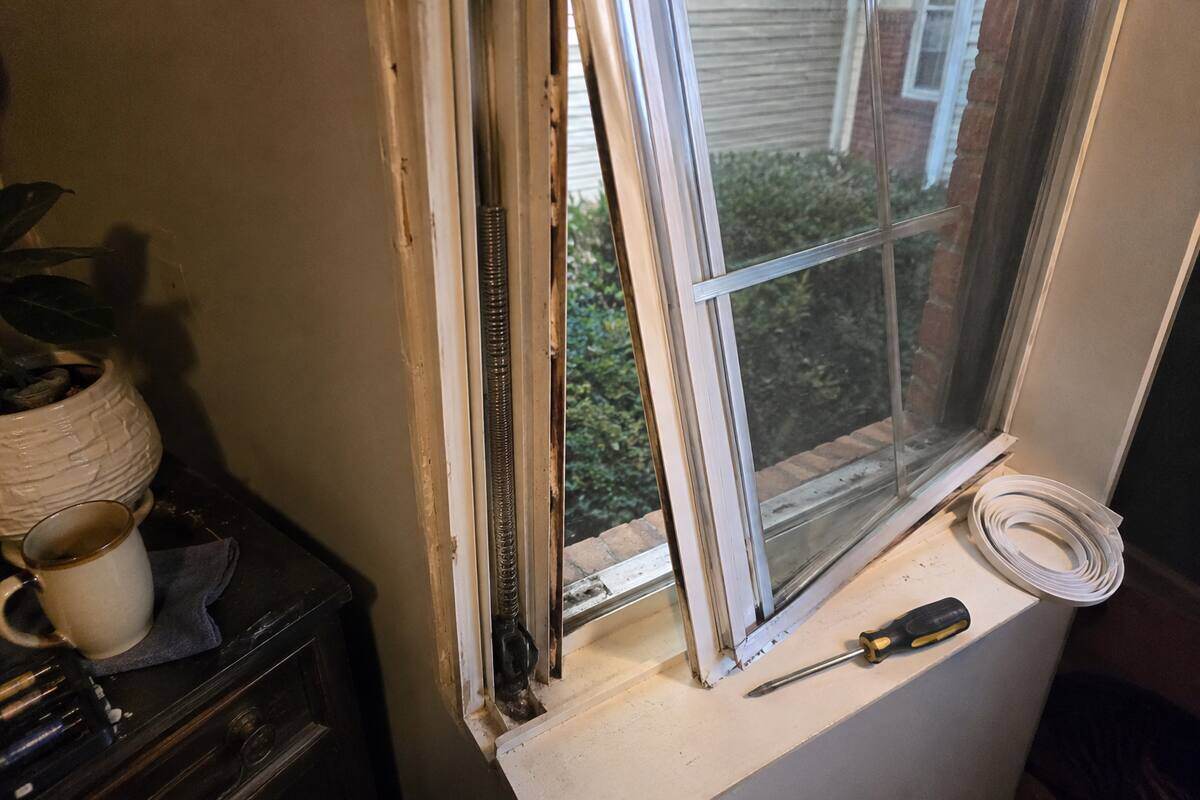 Window sash tilted out of its frame with the balance and weatherstripping exposed